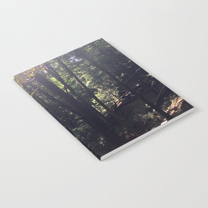 Sunshine in the Forest Notebook