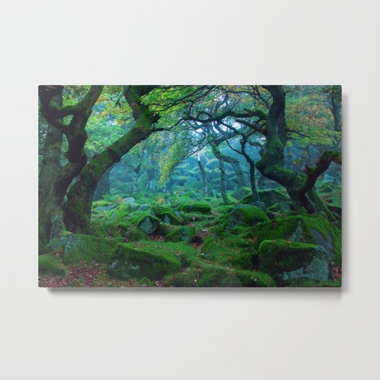 Forest #woods Metal Print