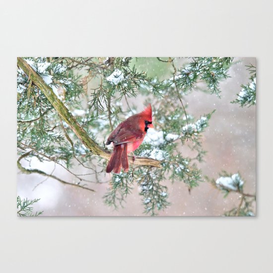 Snow Day Cardinal Canvas Print