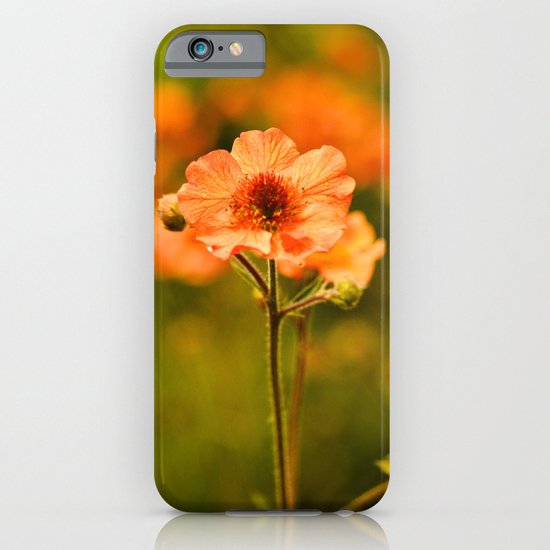 Wild Free Spirit iPhone & iPod Case