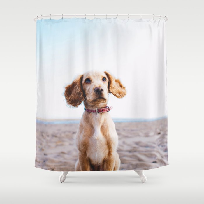 Man's Best Friend (Color) Shower Curtain