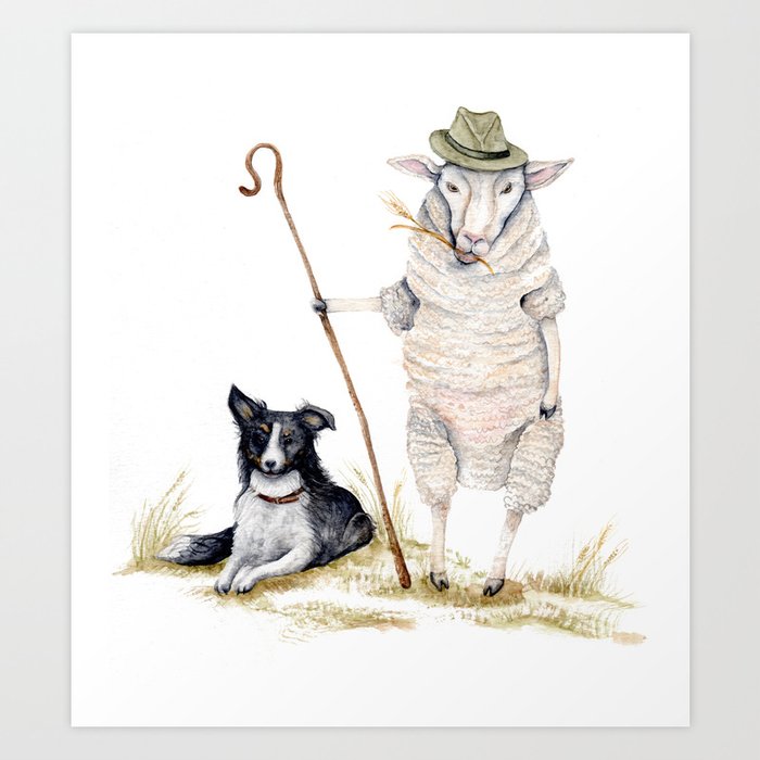 Sheepherd Sheep Art Print