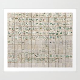 The Complete Voynich Manuscript - Natural Art Print