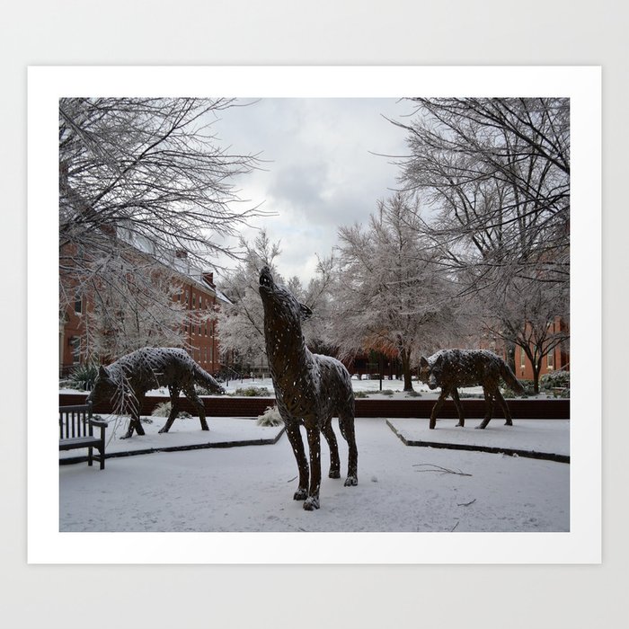 NC State Art Print