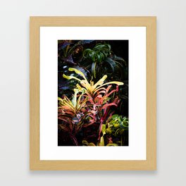 Jungle Framed Art Print