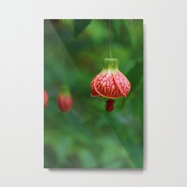 Floral Bell Metal Print | Photo, Nature 