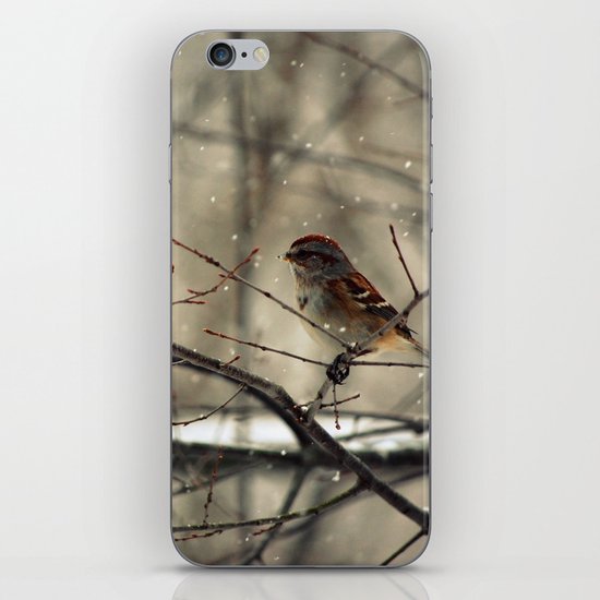 Winter friend. iPhone & iPod Skin