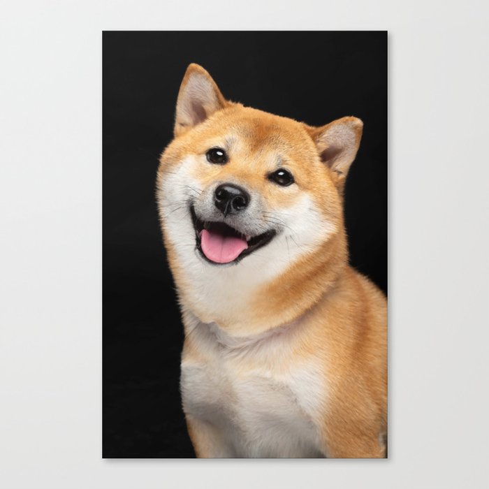  Shiba Inu Dog  Canvas Print