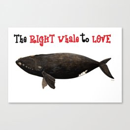 The right whale to love Canvas Print