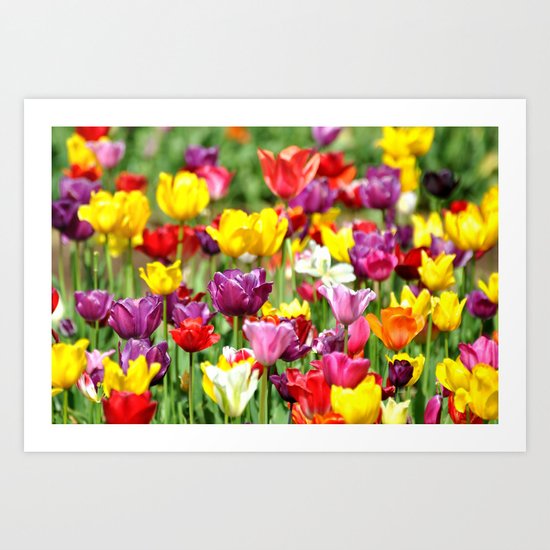 PRETTY TULIPS Art Print