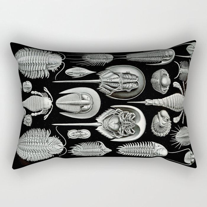 Trilobites and Fossils by Ernst Haeckel Rectangular Pillow