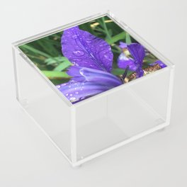 Purple Iris with Rain Droplets Acrylic Box