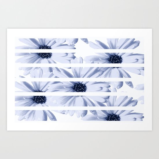 Light Blue Daisies with White Stripes Art Print