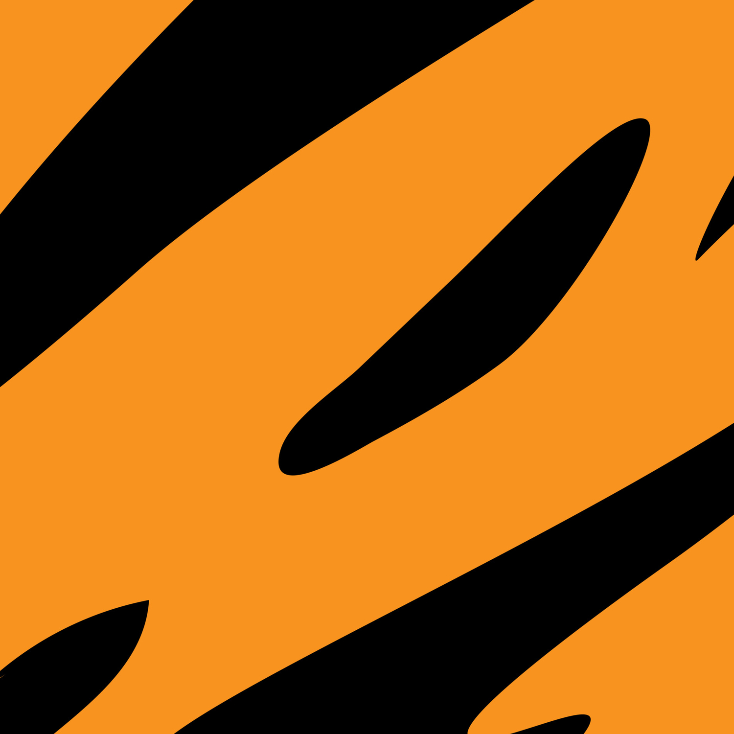 Bold And Beautiful Black And Orange Abstract Tiger Striped Pattern