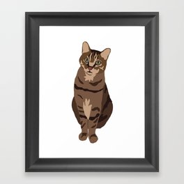Tabby Cat Framed Art Print
