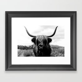 Scottish Highland Cattle in Black and White - Animal Photograph Framed Art Print
