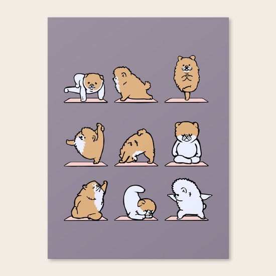 Pomeranian yoga Canvas Print