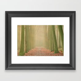 Gate of trees in the morning light / Golden Hour / Nature Framed Art Print