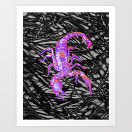 Scorpion Black Art Print
