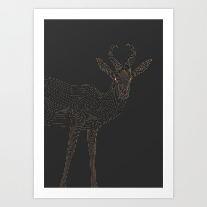 All lines lead to the...Springbok Art Print