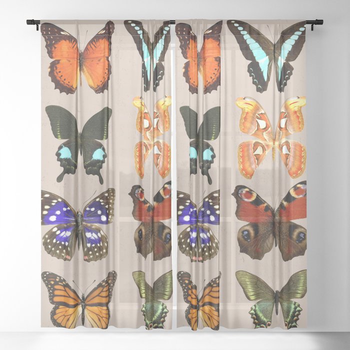 Sheer Curtain