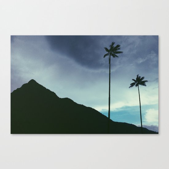 Palm trees Canvas Print