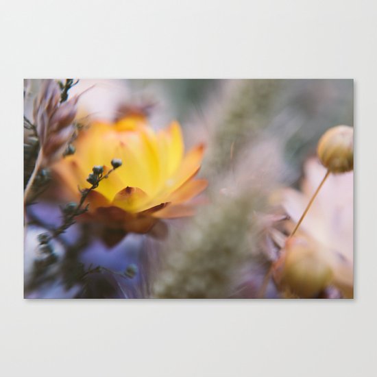 Contrary Canvas Print