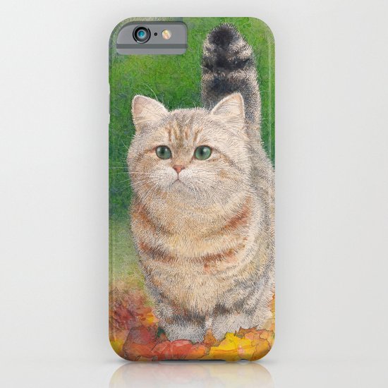 Autumn iPhone & iPod Case