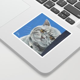 Meme Cat - Angry Cat Sticker
