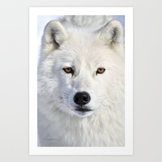 Up close and personal Art Print