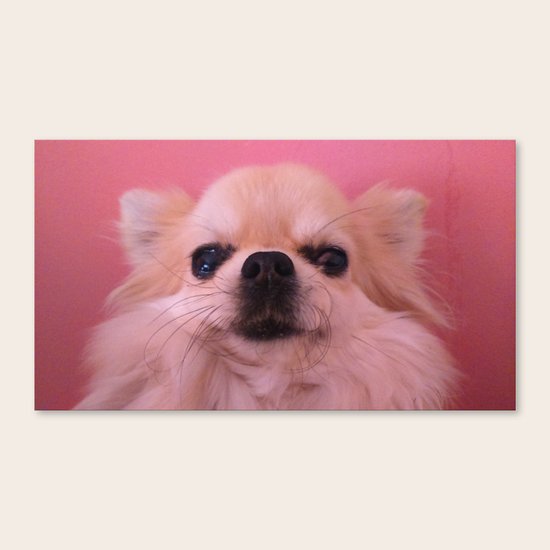 Mugshot Canvas Print