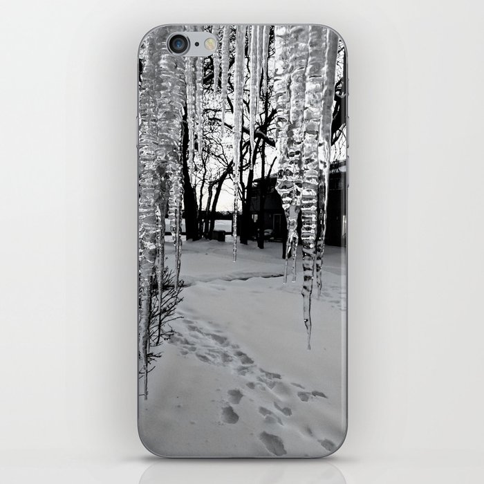 Winter iPhone Skin