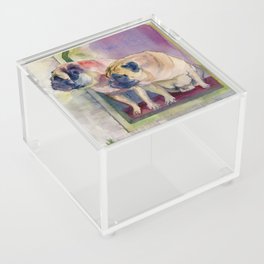 Where is the cat? Acrylic Box