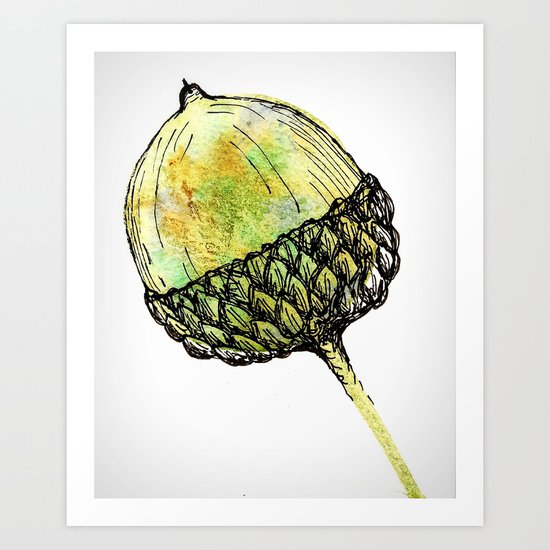 acorn Art Print