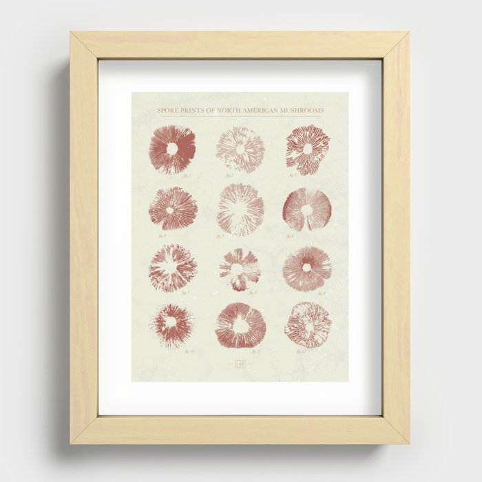 Spore Prints of North American Mushrooms (Vintage Red on White) Recessed Framed Print