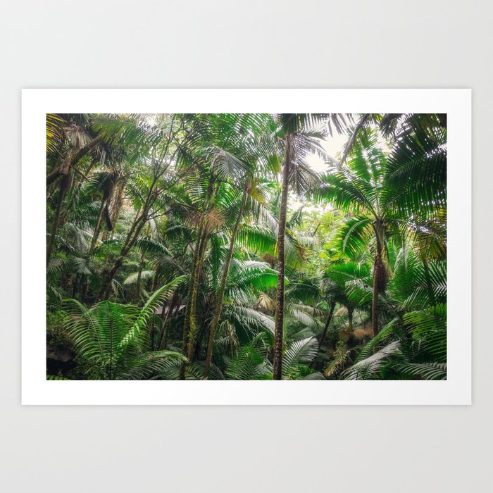 Tropical Forest Art Print