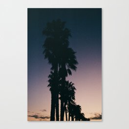 sunset palms Canvas Print
