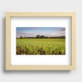 Young shoots Recessed Framed Print