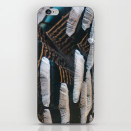 Feather Pattern - Turkeys Coat - Colorful Motif, Nature & Animal Photography iPhone Skin
