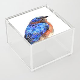 Little Bluebird Art Blue Bird Artwork Acrylic Box