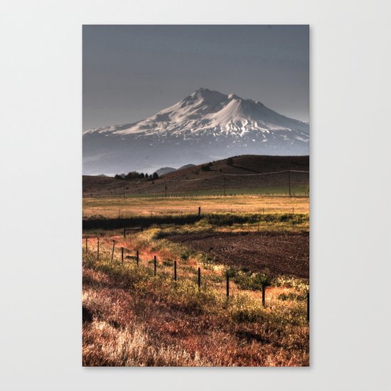 Mt Shasta Canvas Print