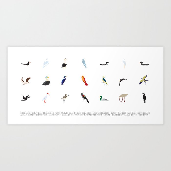Cape Cod Birds: A Minimalist Field Guide Art Print