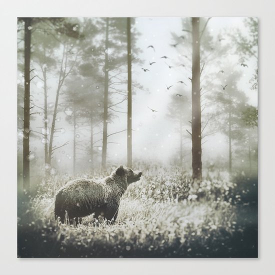 Encounter Canvas Print