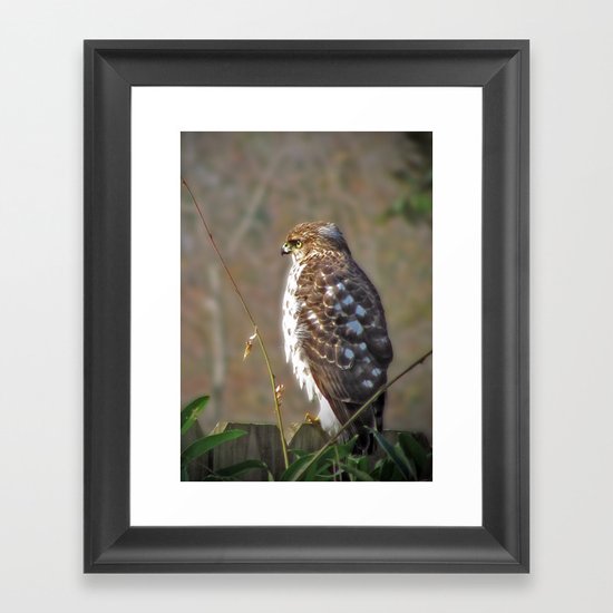 A Hunter in a Farmer's World Framed Art Print