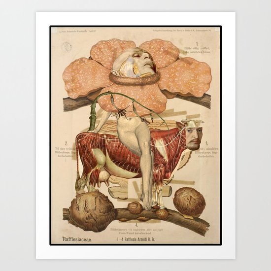 RAFFLESIA Art Print