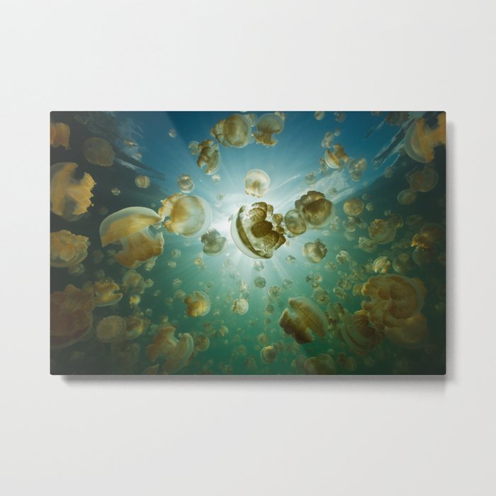 Jellyfish Lake Metal Print