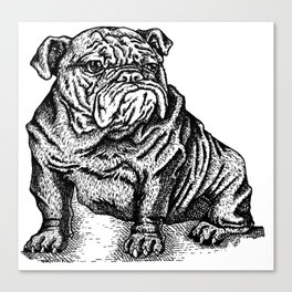 Sapphorica Creations- Philip the Bulldog Canvas Print