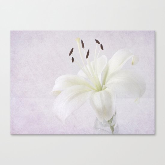 Lily Canvas Print