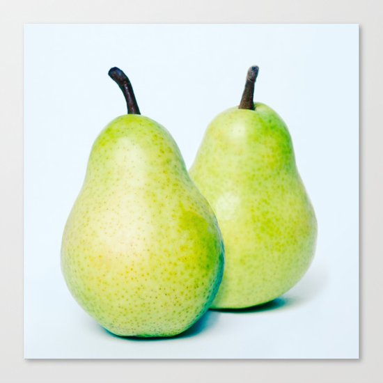 perfect pair Canvas Print