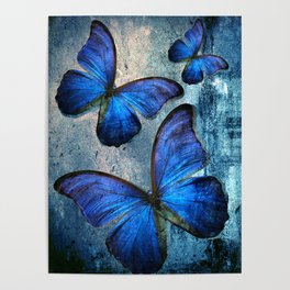 Butterfly Blue Vintage  Poster